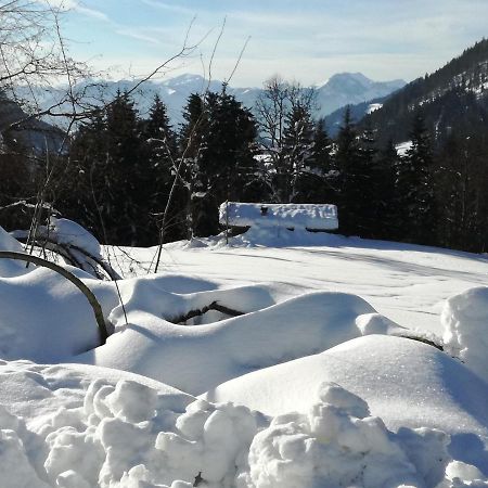 Karrerhof Apartment Walchsee Exterior photo