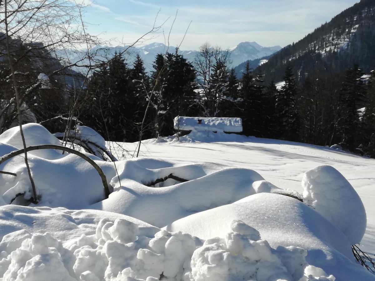 Karrerhof Apartment Walchsee Exterior photo